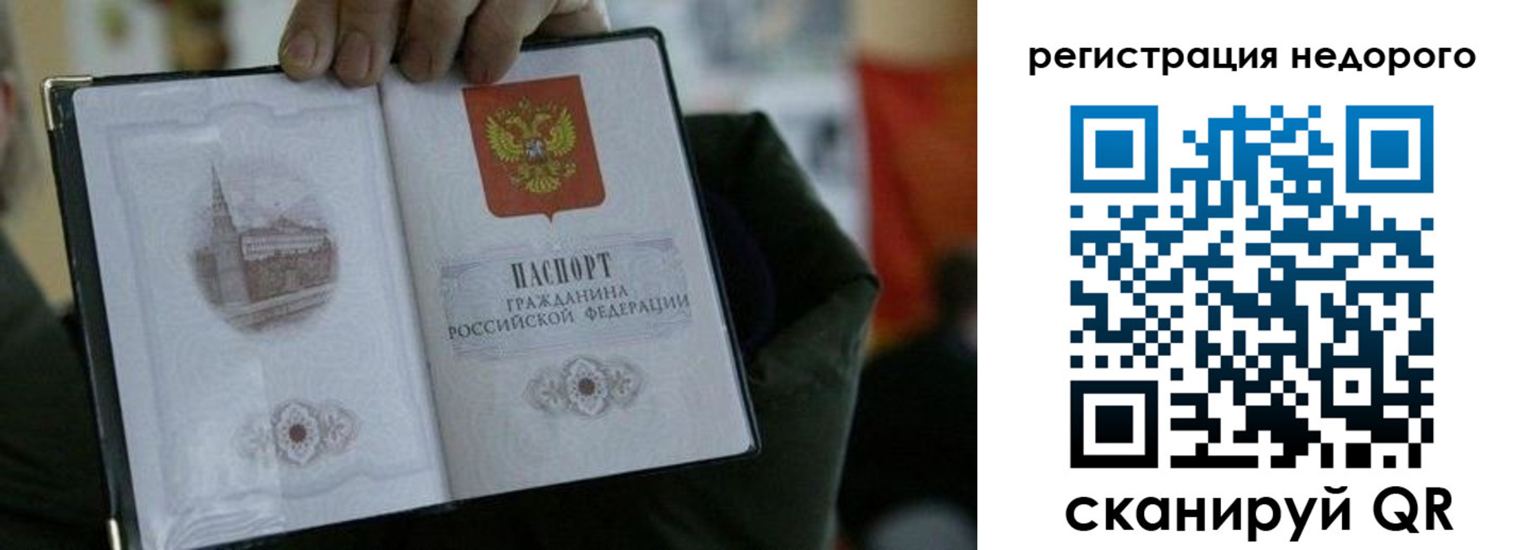 временная регистрация поиск в Снежногорске